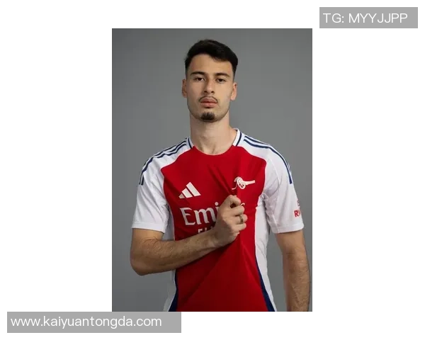 马丁内利 马丁内利