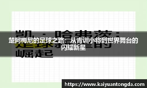 奇异果体育